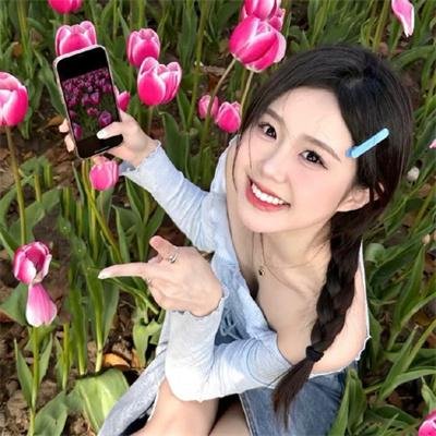 好莱坞狗日子
